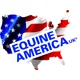 Shop all Equine America products